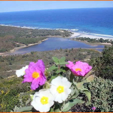Bauernhof Agriturismo Terra Galana Orosei
